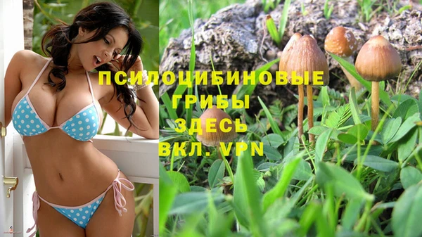 ALPHA-PVP Нягань