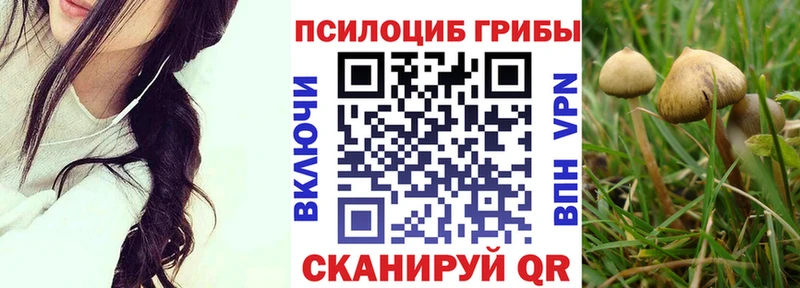 Псилоцибиновые грибы MAGIC MUSHROOMS  mega маркетплейс  Суджа 